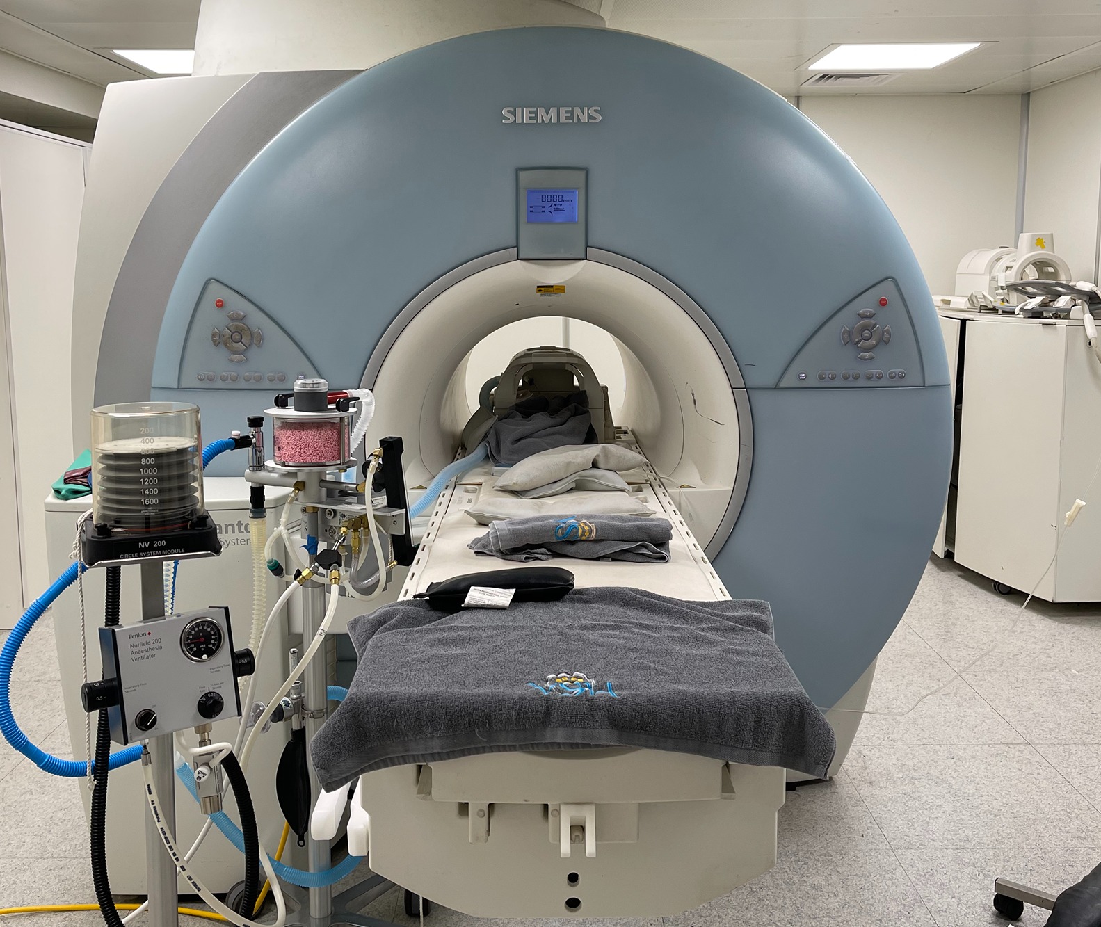 Diagnostic Imaging at VSH VSH Hong Kong